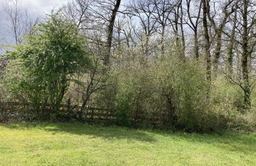 Lac Bleu 25 - Foto 31