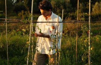 Agriturismo Le Forre del Treja (La Villa) - Foto 53