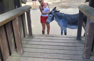 Familiehuis Dolve - Foto 111