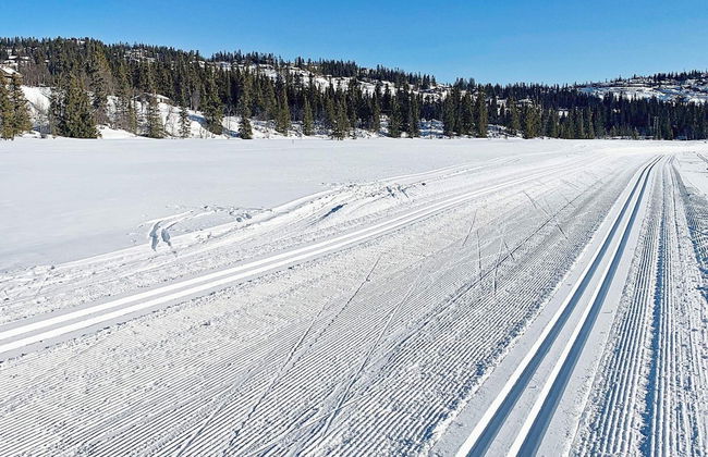 6 Person Holiday Home in Aurdal - Foto 8