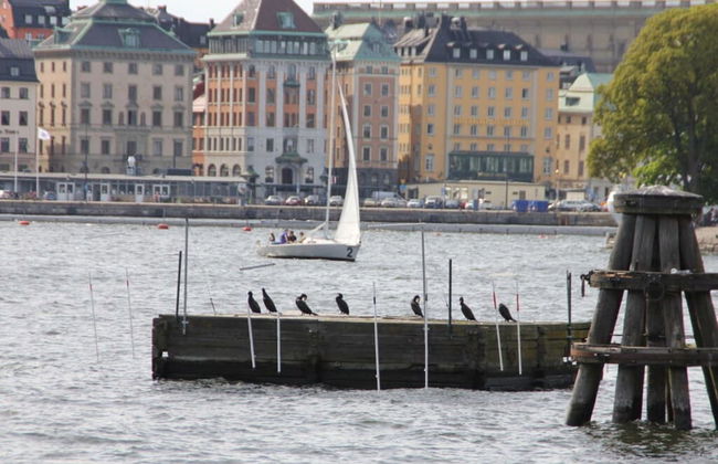 Nyhyttan Comfortable Holiday Residence - Foto 22