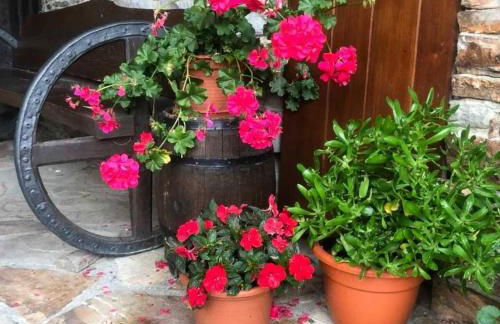 Apartamentos Casa de Riba - Foto 14