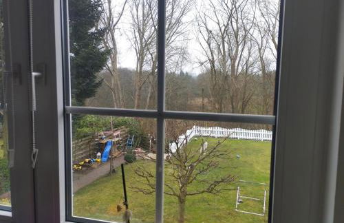 Peaceful oasis in Hamburg - Foto 18