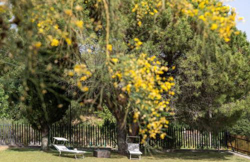 La dimora del verde con piscina - Foto 70