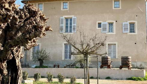 La Bastide Les Mûriers - Photo 3