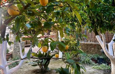 La Bella Vita - Luxury Holiday House close to Corfu Town - Foto 80