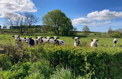 Old Station House - Kilfillan Cottage - Foto 26