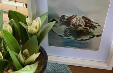 The Lily Pad Boatel Houseboat - Foto 13