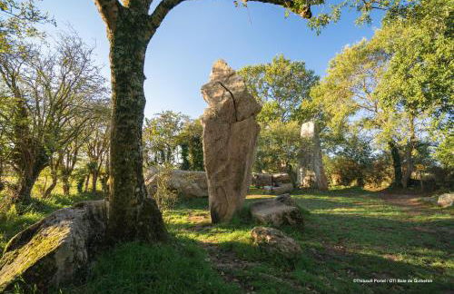 Les Courlis, maison de vacances proche des plages - Foto 38