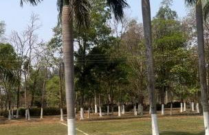 Estancia proximo Rio em Leverger - Foto 10