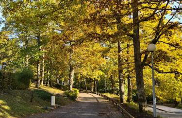 Appartement au calme dans residence avec piscine - Foto 41
