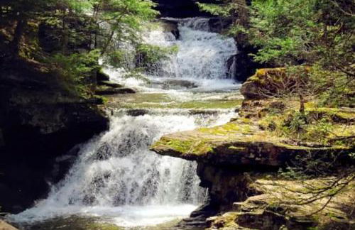 Catskills Lakefront with Hot Tub, Sauna and Theater - Foto 49