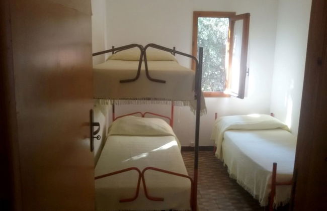 Parco delle Viole - Foto 52