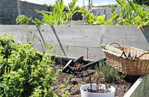 Casas da Chaminé Eco Country Lodge - Photo 56