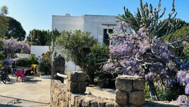 Cinque Tomoli - Foto 4, Garden view