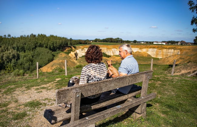 Holiday Home in Limburg With Outdoor Fireplace - Foto 58