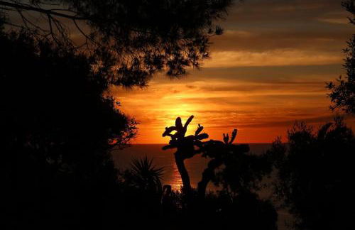 Villa Canale - Foto 51