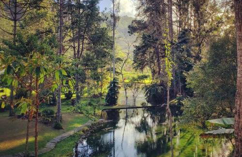 Friburgo Lagos p Pesca,Banho,Sauna,Campinho - Foto 31