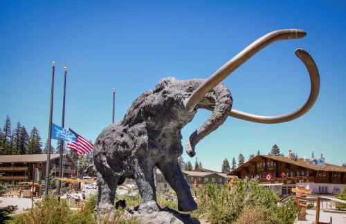 Mammoth Ski & Racquet 124 - Foto 1