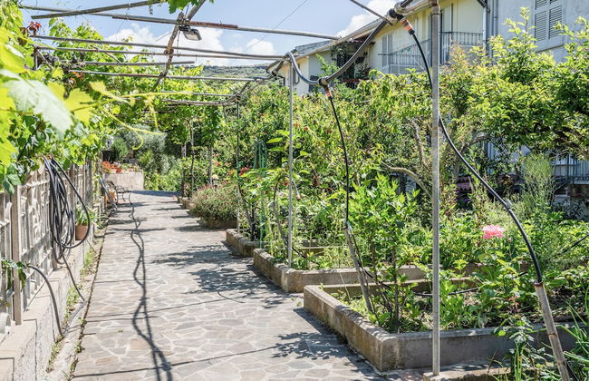 Le Case nel Vitigno - Foto 63