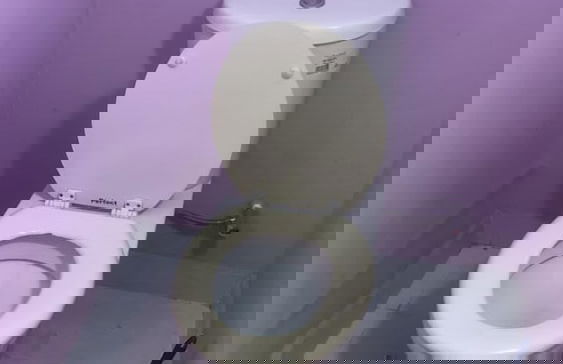 Buena vista Home 3 bedrooms House - Photo 8