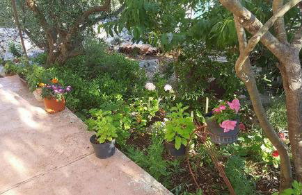 Holiday Home Zeljana - Foto 45