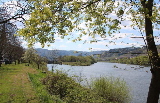 Riesling Apartment on the Moselle Terrace - Photo 19