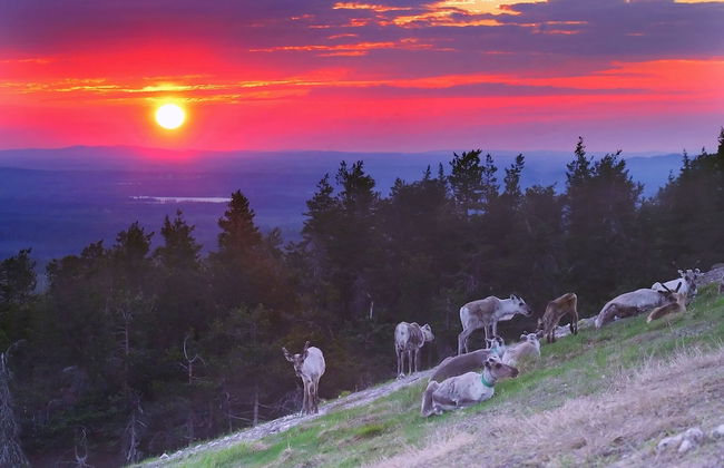 Holiday Club Ruka apartments & cottages - Photo 33