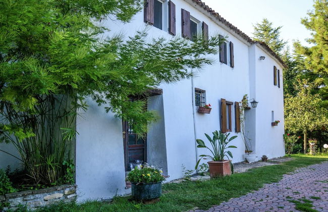 Cottage in Montefiore Near Forest and Beach - Photo 33