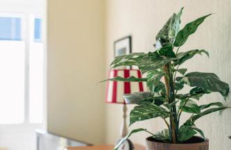 Villa Meeresblick - Foto 38