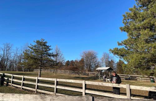 The Gem Vacation Rental - Foto 138