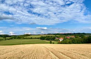 Gut Schwarz-n Hof Ferienwohnungen - Foto 79