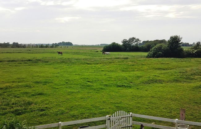 Apartments, Toenning - Foto 43