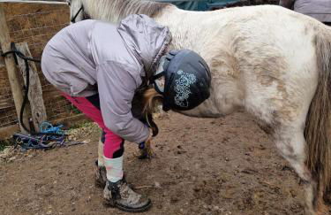 Chevaux au Soleil - Foto 43