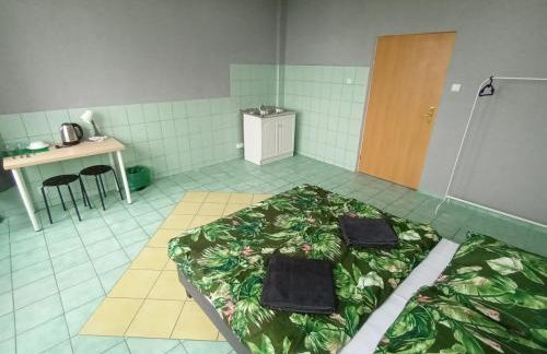 Fantastic-Inn Zielona Góra - Sulechowska - Foto 55