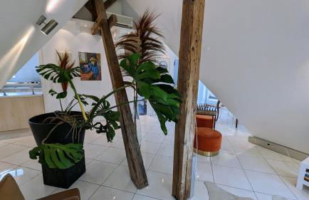 WOLKENFREI - ankommen und Zuhause fühlen - Apart-VL - Foto 9