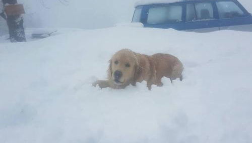 Chalet Lagorai - Foto 3