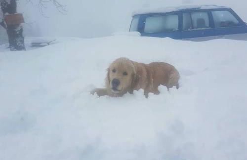 Chalet Lagorai - Foto 3