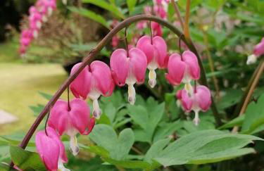 Ankommen, Aufatmen, Wohlfühlen - Urlaub und Workaktion im Oberharz - Foto 26