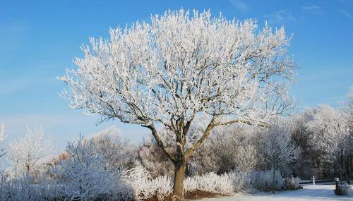Ferienwohnung unter Reet - Photo 3