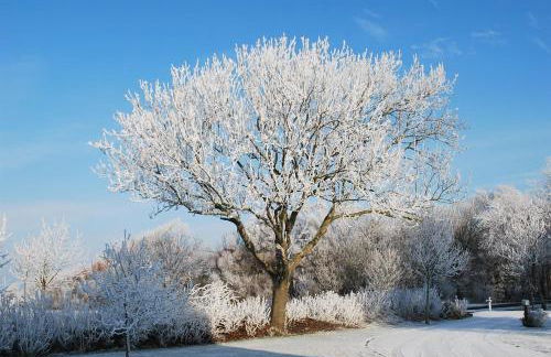 Ferienwohnung unter Reet - Photo 3
