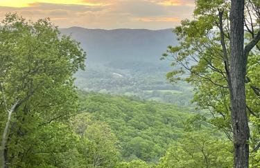 Hideaway Tiny Cabin, Hot Tub, View, Firepit - Foto 25