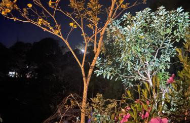 Caracol chácara completa privativa para casal e família - Foto 21