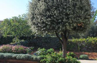 Apartments by the sea Ugljan - 348 - Foto 13