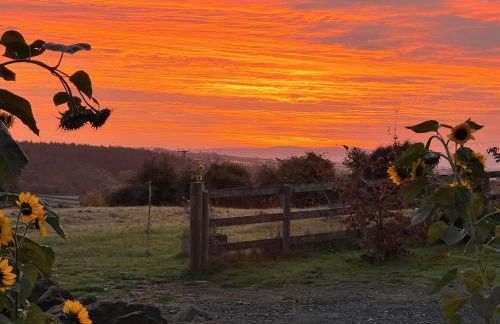 Penburren at Minster Farm West - Foto 29