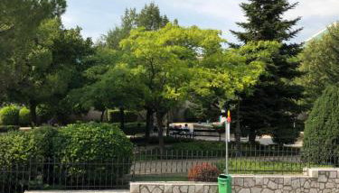 Visiani apartment - Foto 3