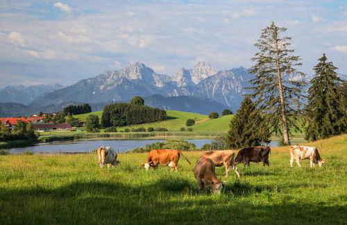Landhaus im Allgäu - Foto 32