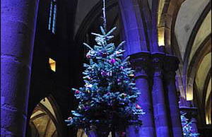 Gite Habsiger - Photo 24