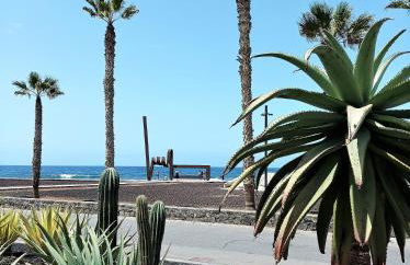 Joy Tenerife Charming House - Foto 48