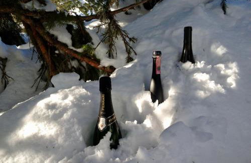 Chalet Paoletta - Alpe Cermis - Foto 10